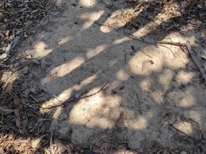 Fazenda em Sucupira/Tocantins — Ref H98QME — Imagem 37