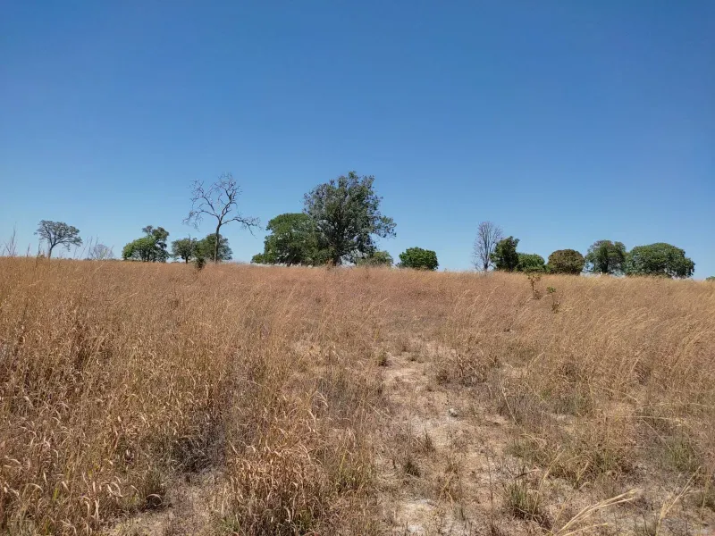 Fazenda em Sucupira/Tocantins — Ref H98QME — Imagem 38