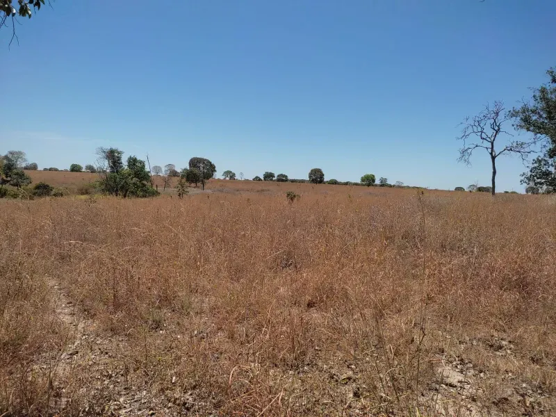 Fazenda em Sucupira/Tocantins — Ref H98QME — Imagem 39