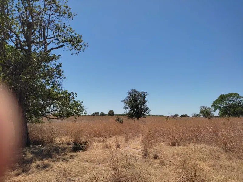 Fazenda em Sucupira/Tocantins — Ref H98QME — Imagem 41