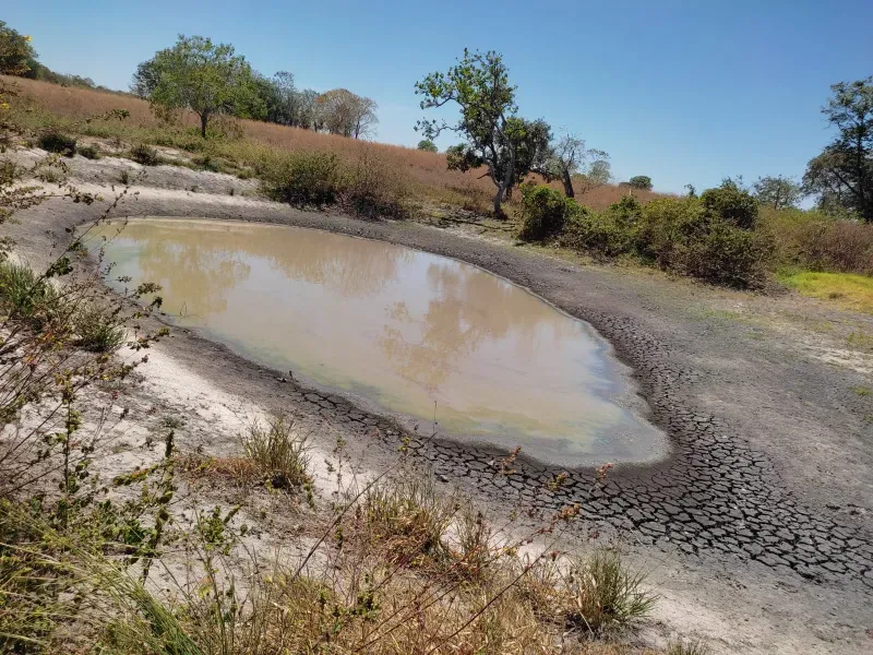 Fazenda em Sucupira/Tocantins — Ref H98QME — Imagem 18
