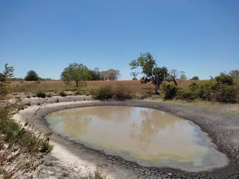 Fazenda em Sucupira/Tocantins — Ref H98QME — Imagem 3