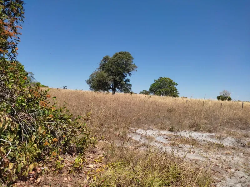 Fazenda em Sucupira/Tocantins — Ref H98QME — Imagem 42