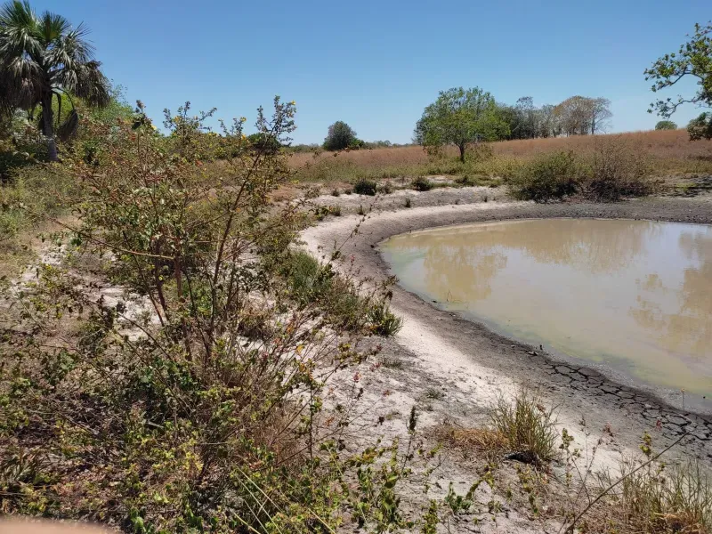 Fazenda em Sucupira/Tocantins — Ref H98QME — Imagem 17