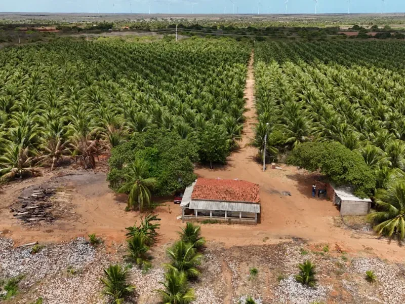 Fazenda em Touros/Rio Grande do Norte — Ref 6H9WPI — Imagem 2