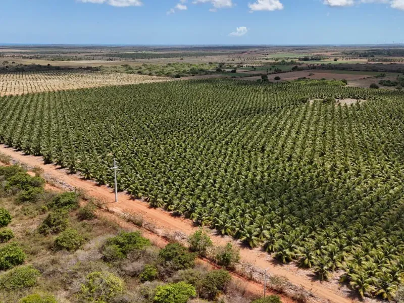 Fazenda em Touros/Rio Grande do Norte — Ref 6H9WPI — Imagem 10