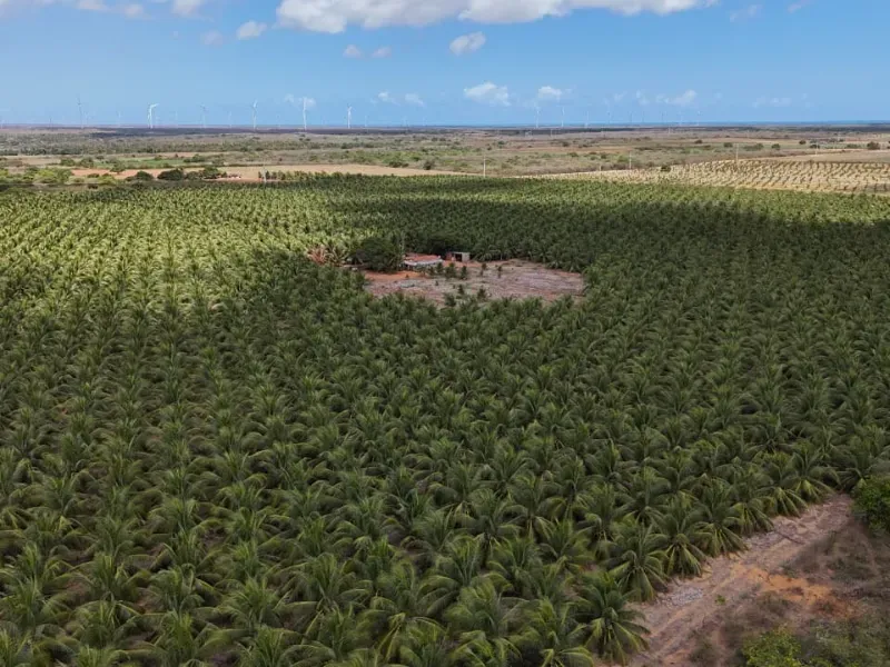 Fazenda em Touros/Rio Grande do Norte — Ref 6H9WPI — Imagem 7