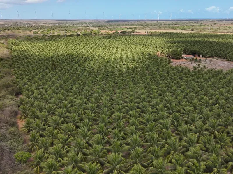 Fazenda em Touros/Rio Grande do Norte — Ref 6H9WPI — Imagem 9
