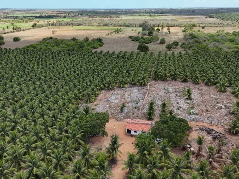 Fazenda em Touros/Rio Grande do Norte — Ref 6H9WPI — Imagem 6