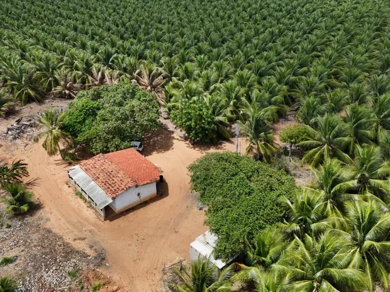 Fazenda em Touros/Rio Grande do Norte — Ref 6H9WPI — Imagem 3
