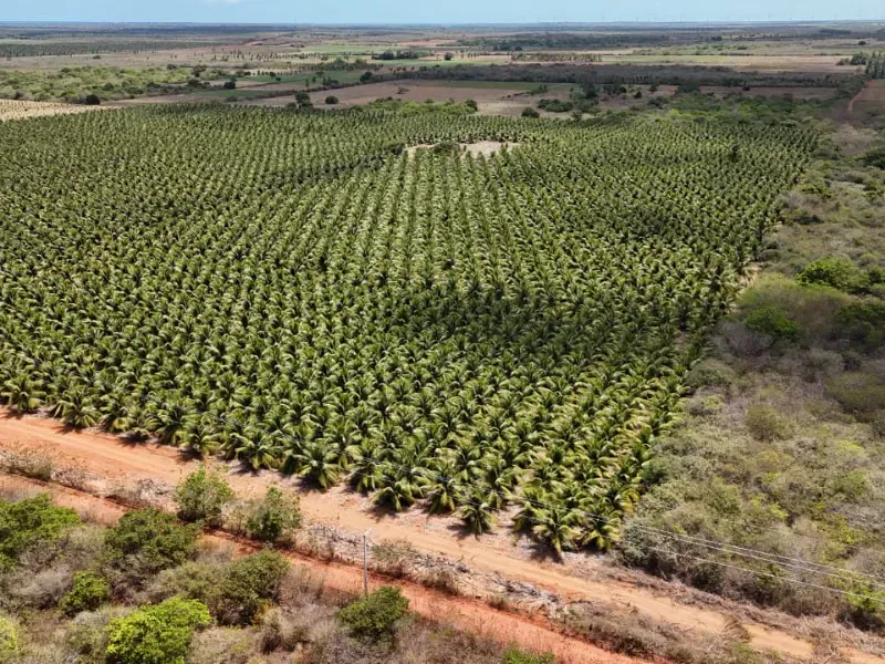 Fazenda em Touros/Rio Grande do Norte — Ref 6H9WPI — Imagem 11