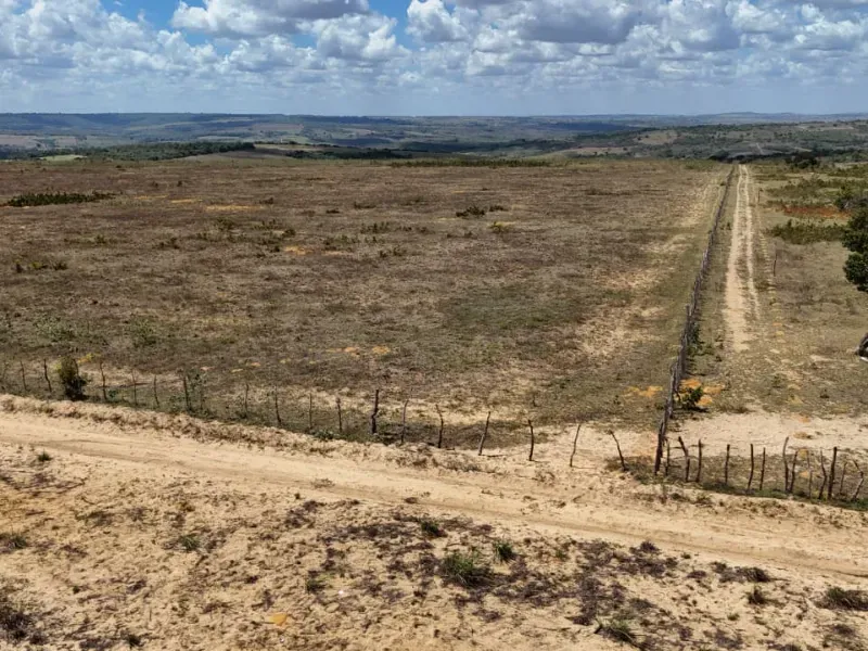 Fazenda em Brejinho/Rio Grande do Norte — Ref OK23WW — Imagem 4