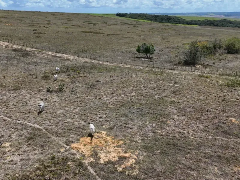 Fazenda em Brejinho/Rio Grande do Norte — Ref OK23WW — Imagem 15