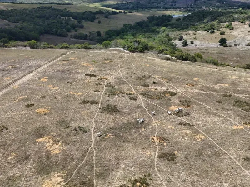 Fazenda em Brejinho/Rio Grande do Norte — Ref OK23WW — Imagem 16