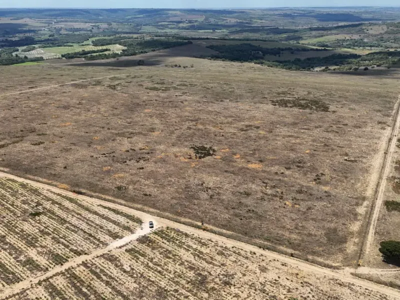 Fazenda em Brejinho/Rio Grande do Norte — Ref OK23WW — Imagem 5
