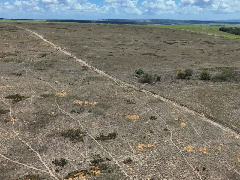 Fazenda em Brejinho/Rio Grande do Norte — Ref OK23WW — Imagem 17