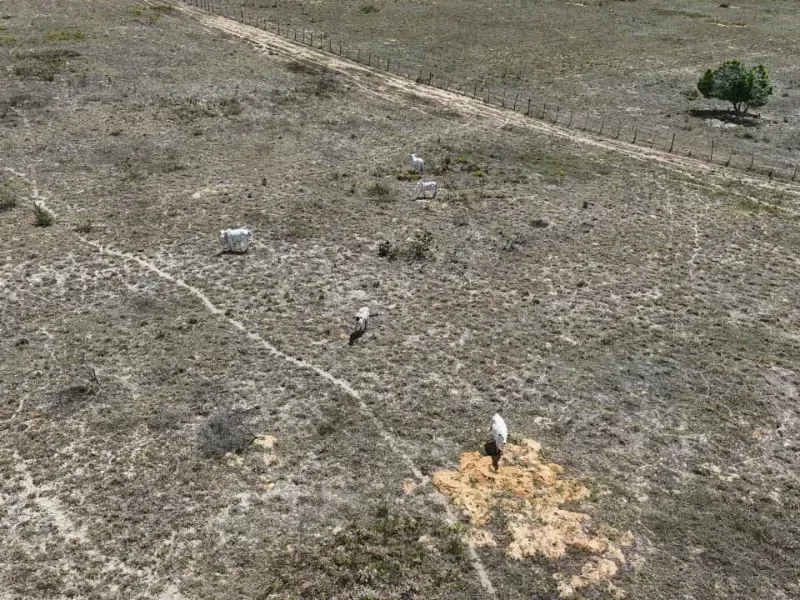 Fazenda em Brejinho/Rio Grande do Norte — Ref OK23WW — Imagem 18