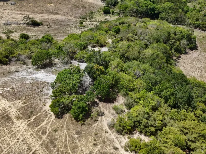 Fazenda em Brejinho/Rio Grande do Norte — Ref OK23WW — Imagem 6