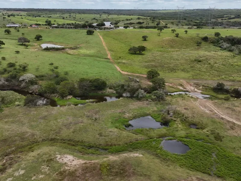 Fazenda em Macaíba/Rio Grande do Norte — Ref M541A6 — Imagem 11