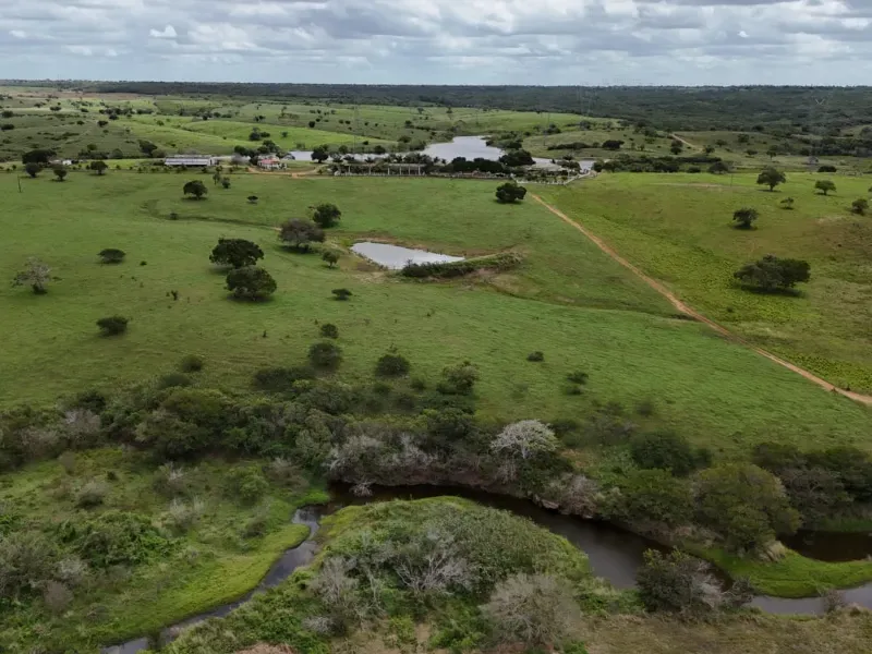 Fazenda em Macaíba/Rio Grande do Norte — Ref M541A6 — Imagem 10