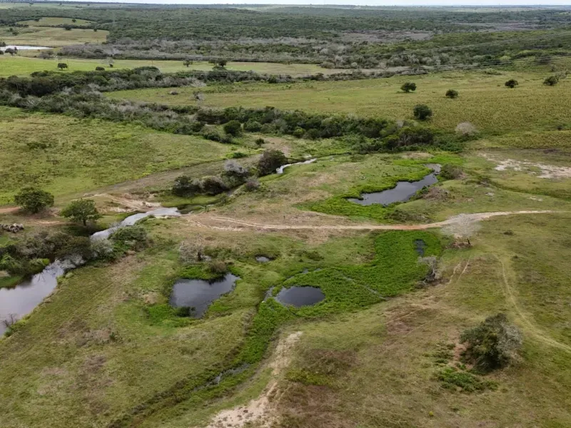 Fazenda em Macaíba/Rio Grande do Norte — Ref M541A6 — Imagem 12
