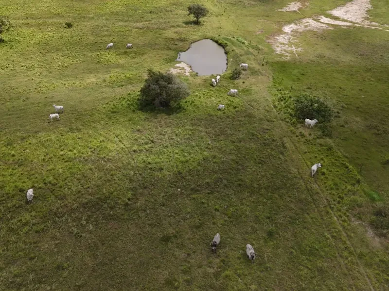 Fazenda em Macaíba/Rio Grande do Norte — Ref M541A6 — Imagem 16
