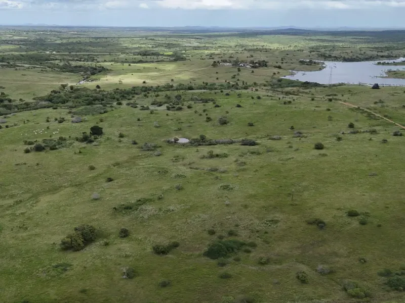 Fazenda em Macaíba/Rio Grande do Norte — Ref M541A6 — Imagem 18