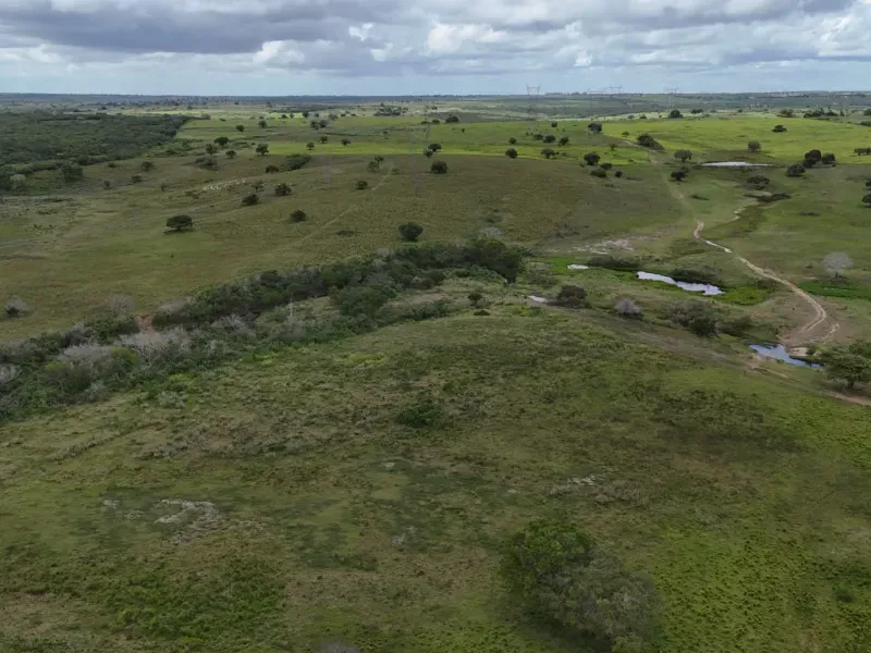 Fazenda em Macaíba/Rio Grande do Norte — Ref M541A6 — Imagem 19