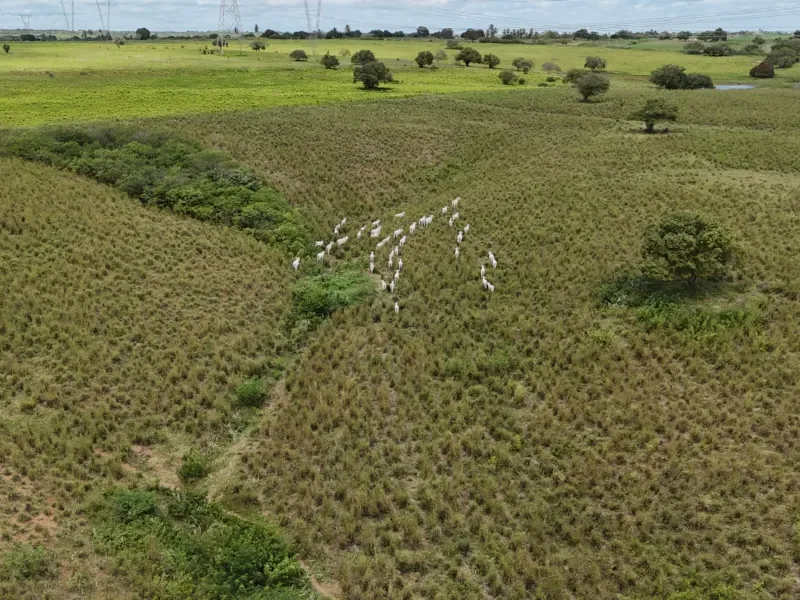 Fazenda em Macaíba/Rio Grande do Norte — Ref M541A6 — Imagem 20
