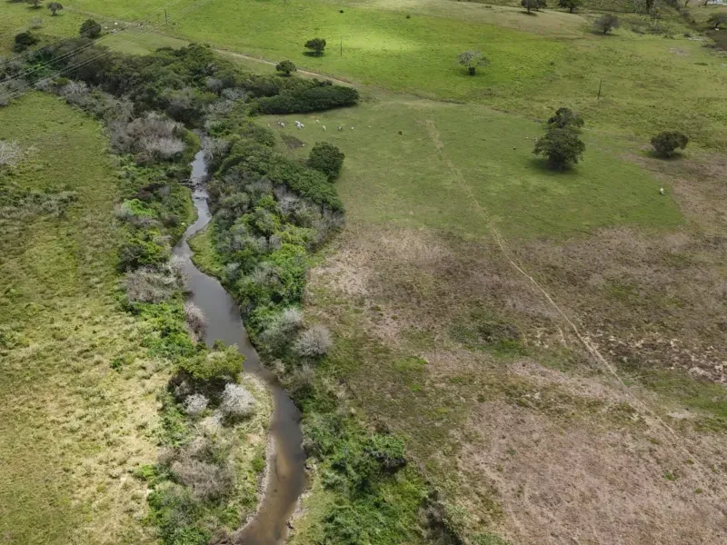 Fazenda em Macaíba/Rio Grande do Norte — Ref M541A6 — Imagem 13