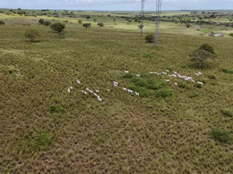 Fazenda em Macaíba/Rio Grande do Norte — Ref M541A6 — Imagem 21