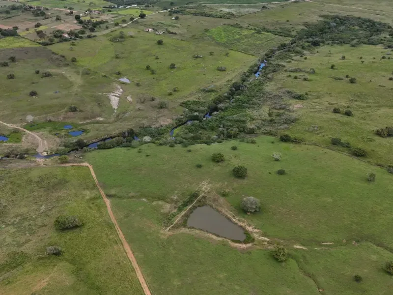 Fazenda em Macaíba/Rio Grande do Norte — Ref M541A6 — Imagem 15