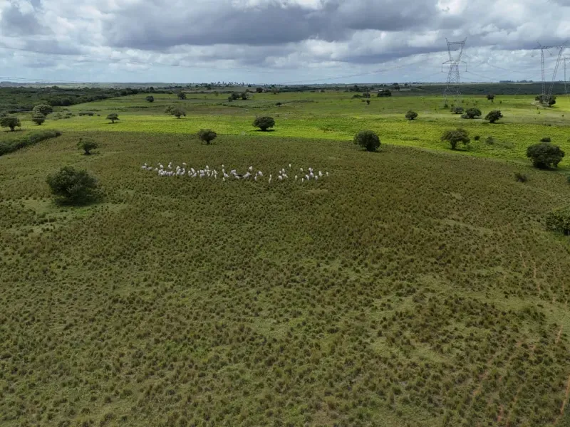 Fazenda em Macaíba/Rio Grande do Norte — Ref M541A6 — Imagem 23