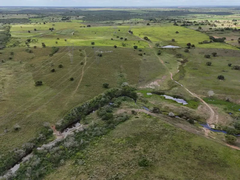 Fazenda em Macaíba/Rio Grande do Norte — Ref M541A6 — Imagem 14