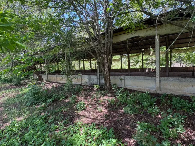 Sítio em Porangaba/São Paulo — Ref 35PL04 — Imagem 4