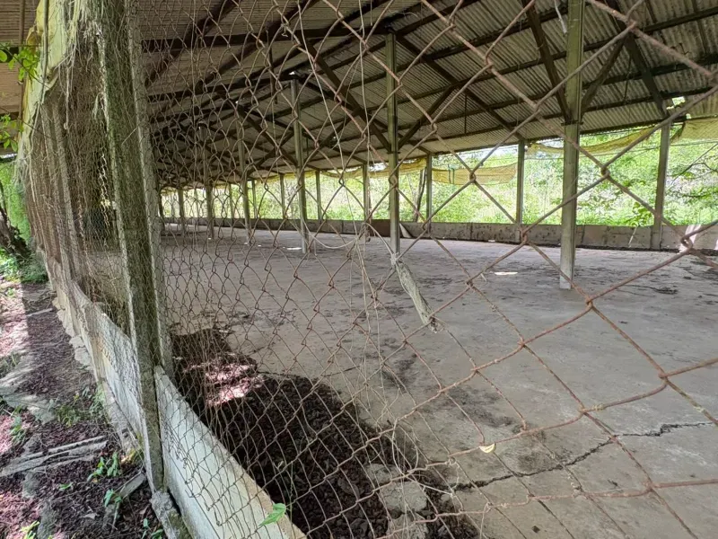 Sítio em Porangaba/São Paulo — Ref 35PL04 — Imagem 5