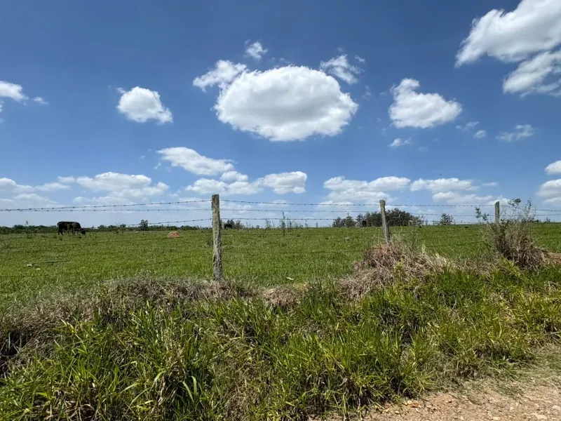 Sítio em Porangaba/São Paulo — Ref 35PL04 — Imagem 9