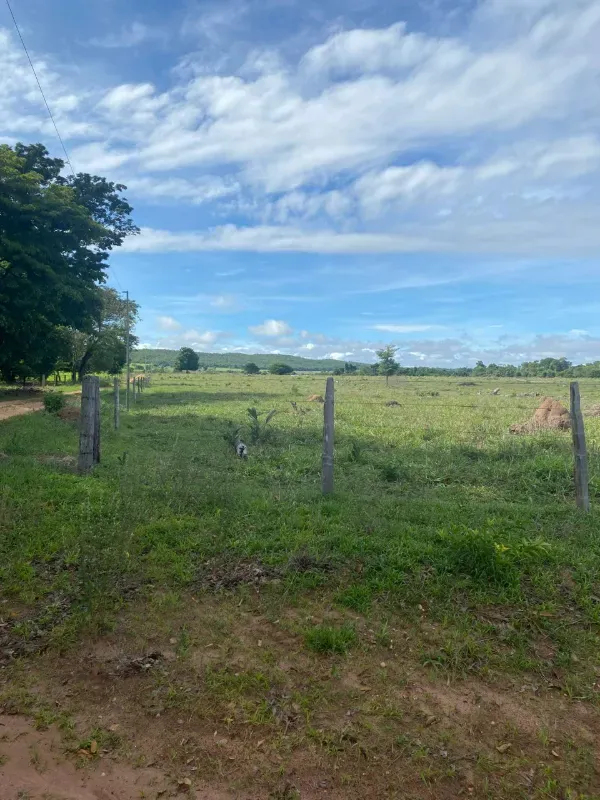 Fazenda em Alto Paraguai/Mato Grosso — Ref UMVHEQ — Imagem 3