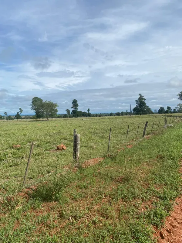 Fazenda em Alto Paraguai/Mato Grosso — Ref UMVHEQ — Imagem 4