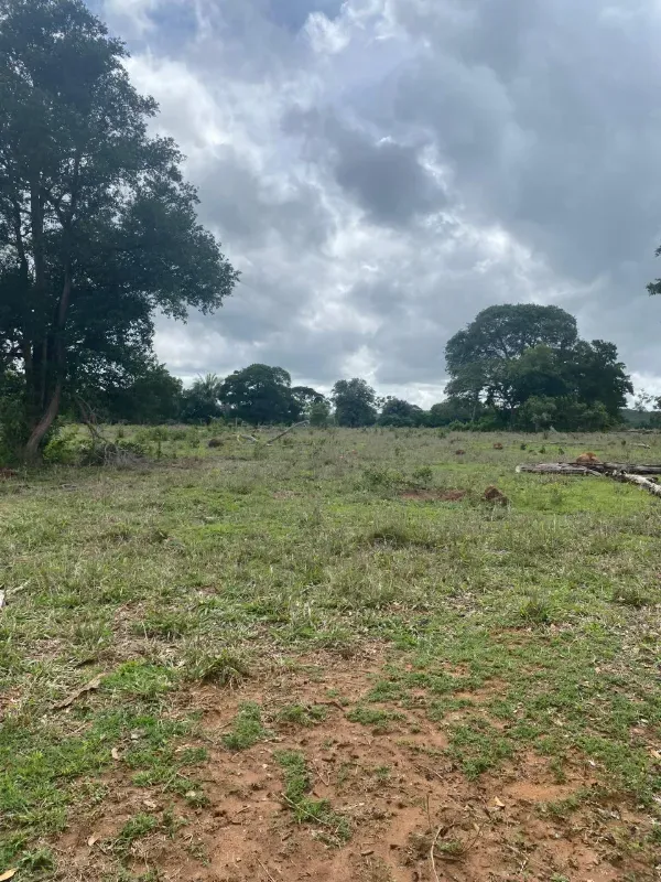 Fazenda em Alto Paraguai/Mato Grosso — Ref UMVHEQ — Imagem 6