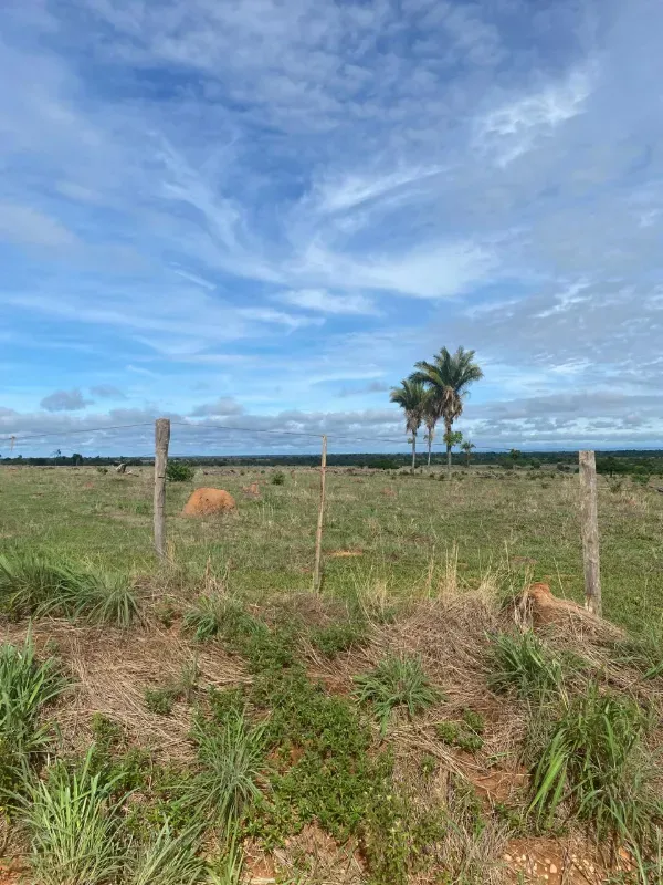 Fazenda em Alto Paraguai/Mato Grosso — Ref UMVHEQ — Imagem 7