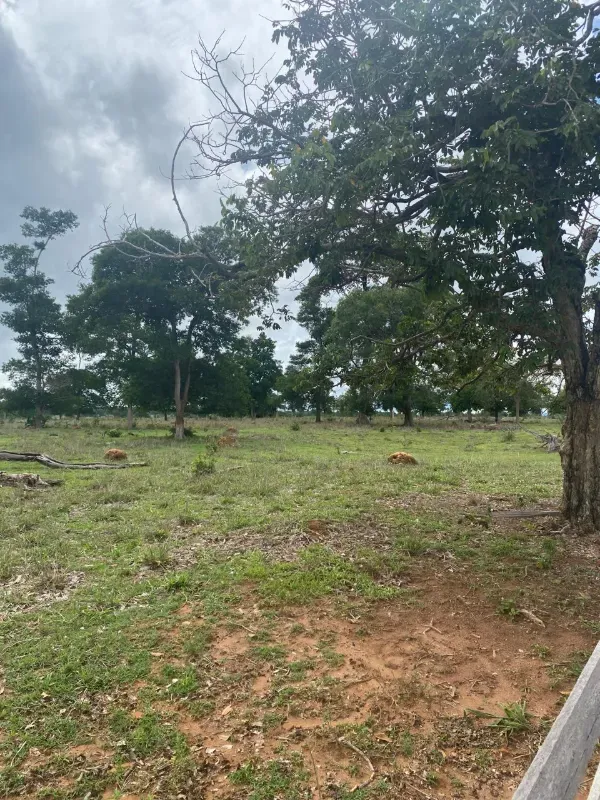 Fazenda em Alto Paraguai/Mato Grosso — Ref UMVHEQ — Imagem 8