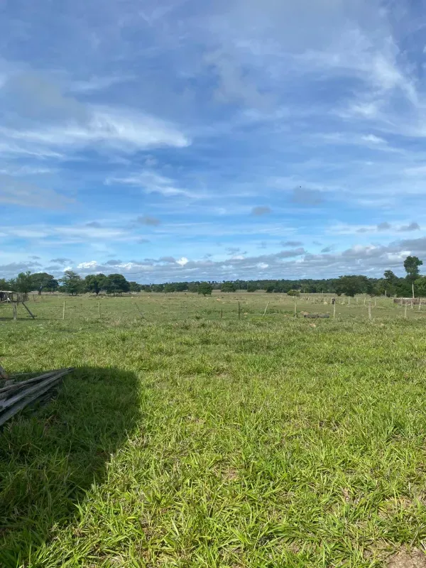 Fazenda em Alto Paraguai/Mato Grosso — Ref UMVHEQ — Imagem 9