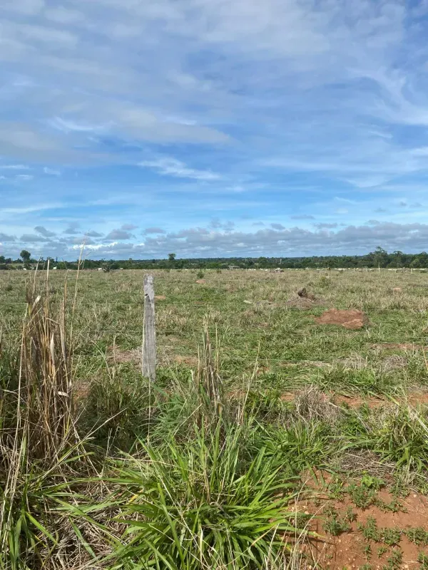 Fazenda em Alto Paraguai/Mato Grosso — Ref UMVHEQ — Imagem 10