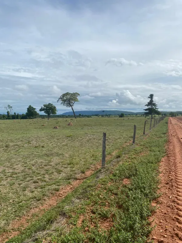 Fazenda em Alto Paraguai/Mato Grosso — Ref UMVHEQ — Imagem 14