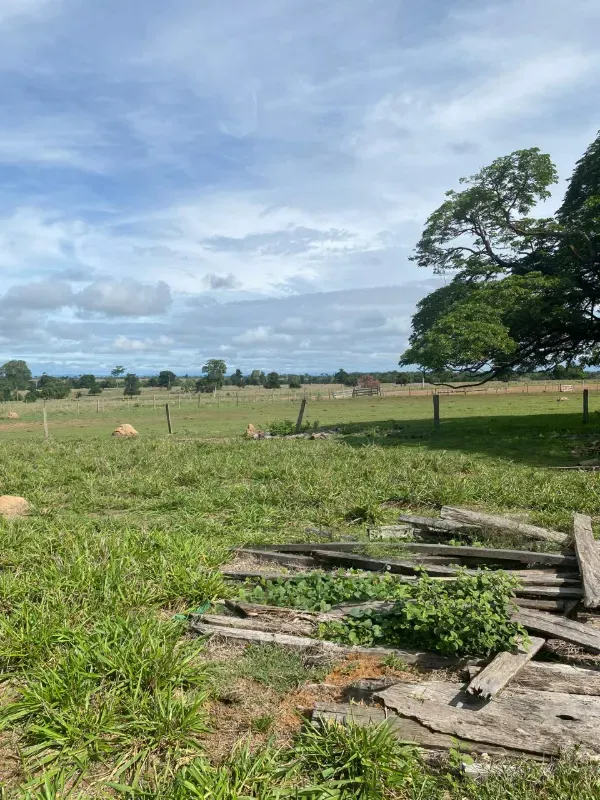 Fazenda em Alto Paraguai/Mato Grosso — Ref UMVHEQ — Imagem 11