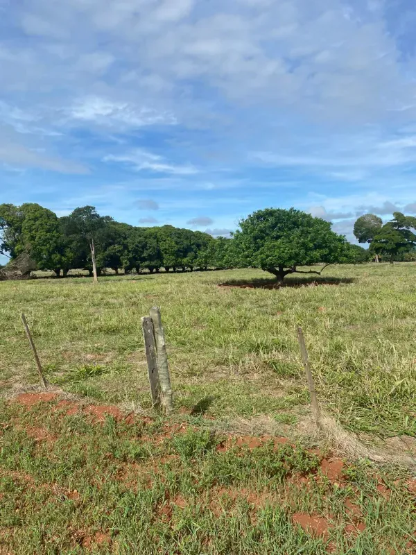 Fazenda em Alto Paraguai/Mato Grosso — Ref UMVHEQ — Imagem 13