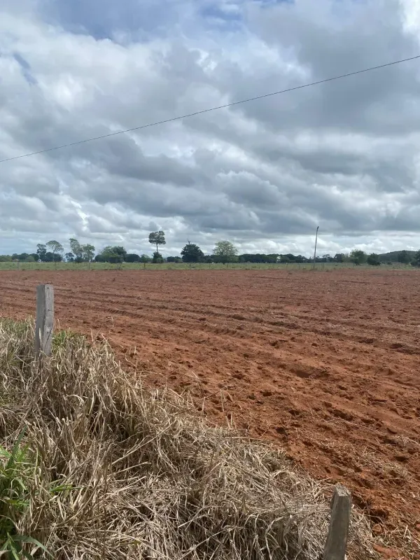 Imóvel rural em Alto Paraguai/Mato Grosso — Ref UMVHEQ1