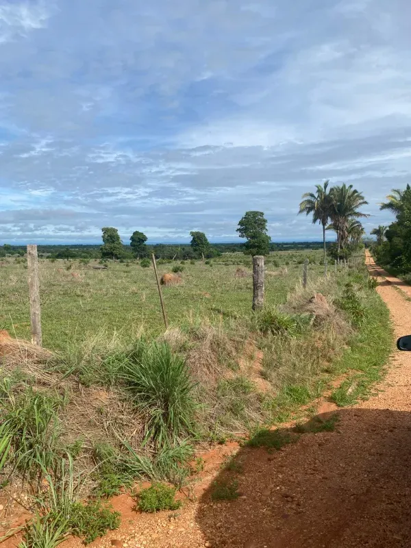 Fazenda em Alto Paraguai/Mato Grosso — Ref UMVHEQ — Imagem 16