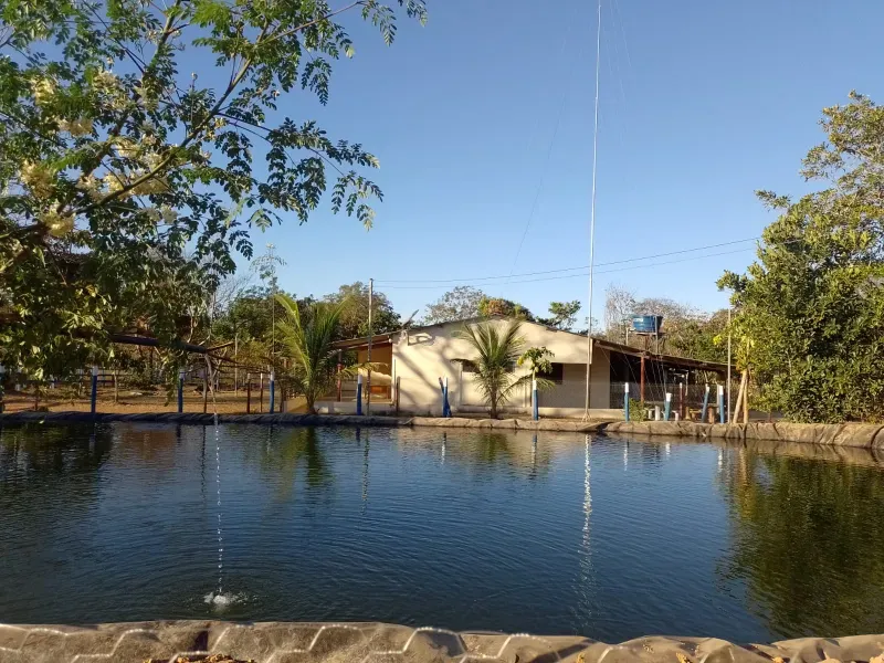 Imóvel rural em Buritis/Minas Gerais — Ref 0ETHMC1